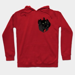 Pocket Dragon Hoodie